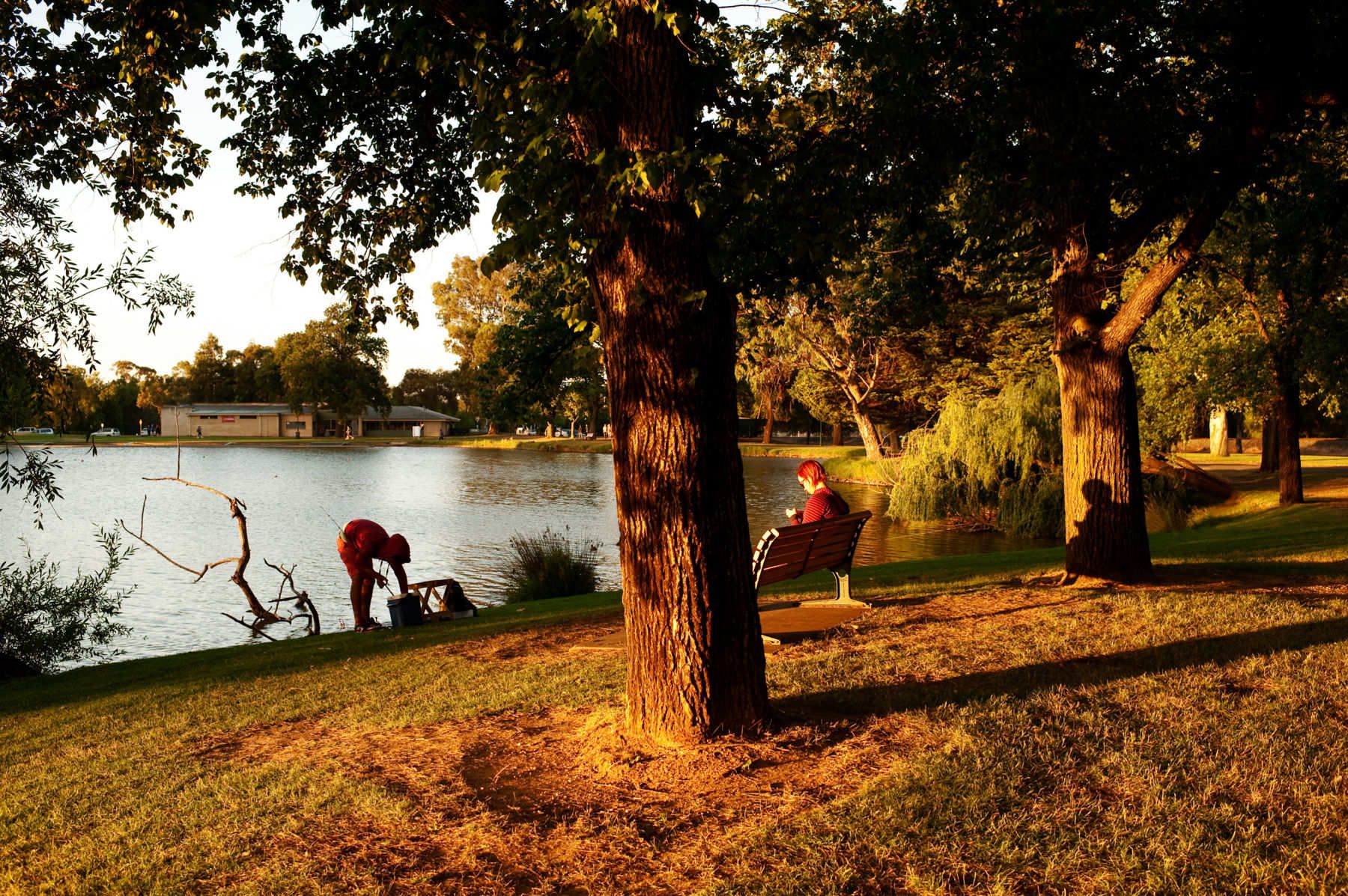 1regionalvic_6_1_copy