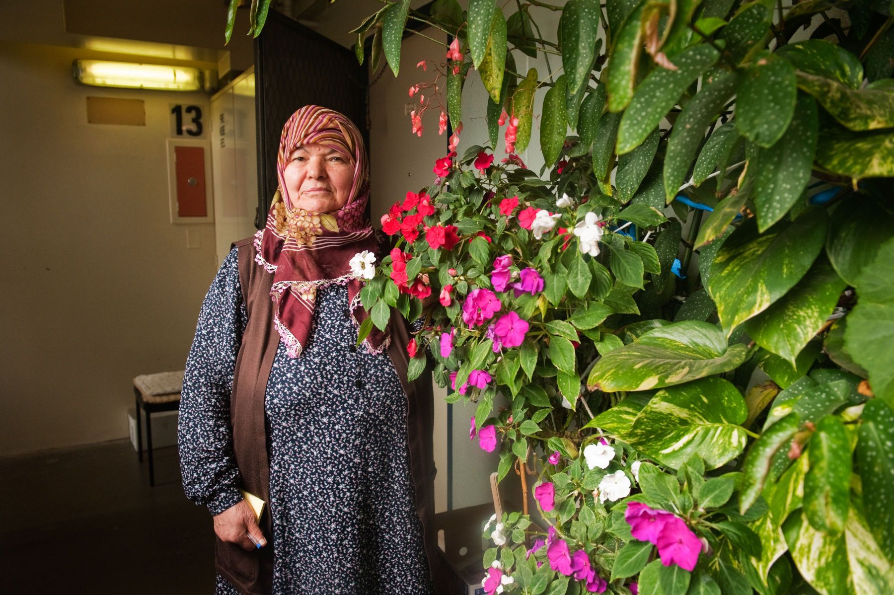 1hodge_j_s4pt_pjmulti_media0921