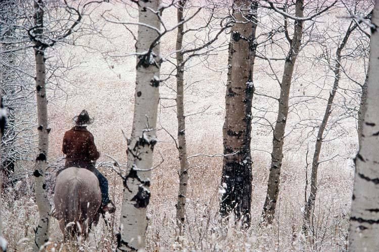 1r25_Cowboy_in_the_Snow.jpg