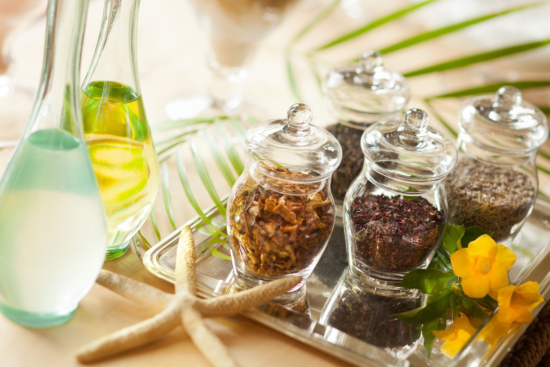 The Spa - Marriott Harbor Beach - Fort Lauderdale, FL