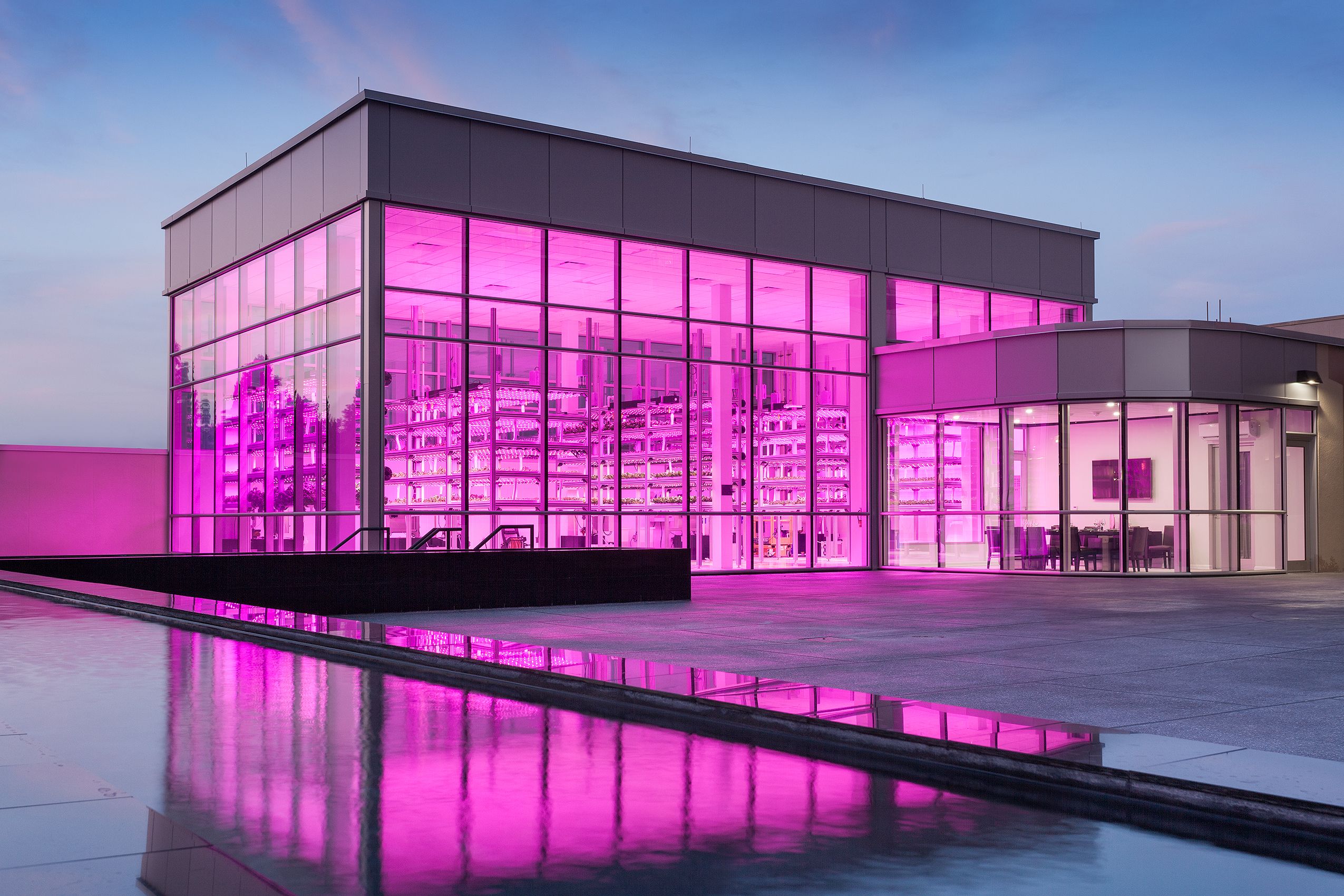 HyCube Hydroponic Rooftop Garden