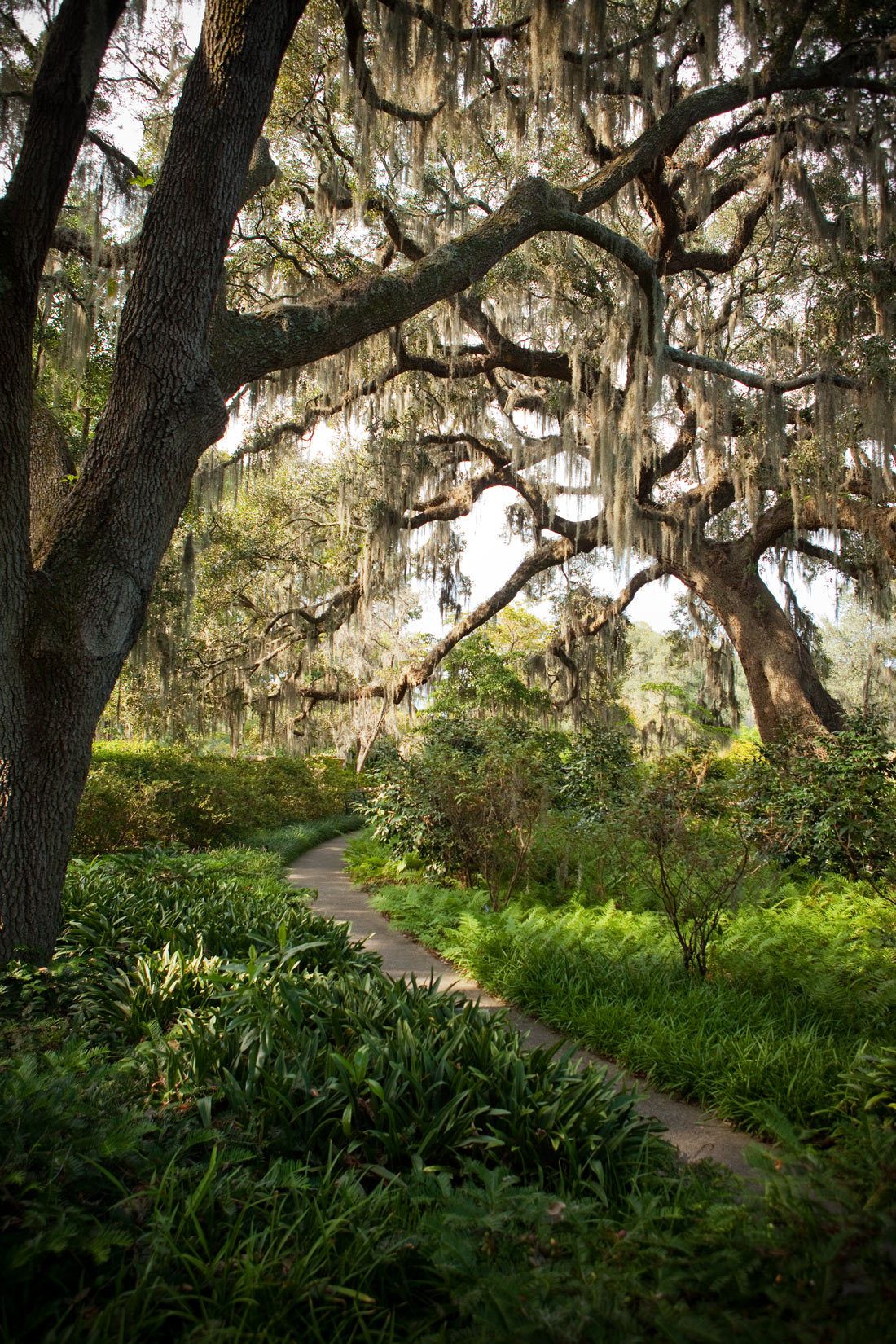 Brook Gardens, South Carolina