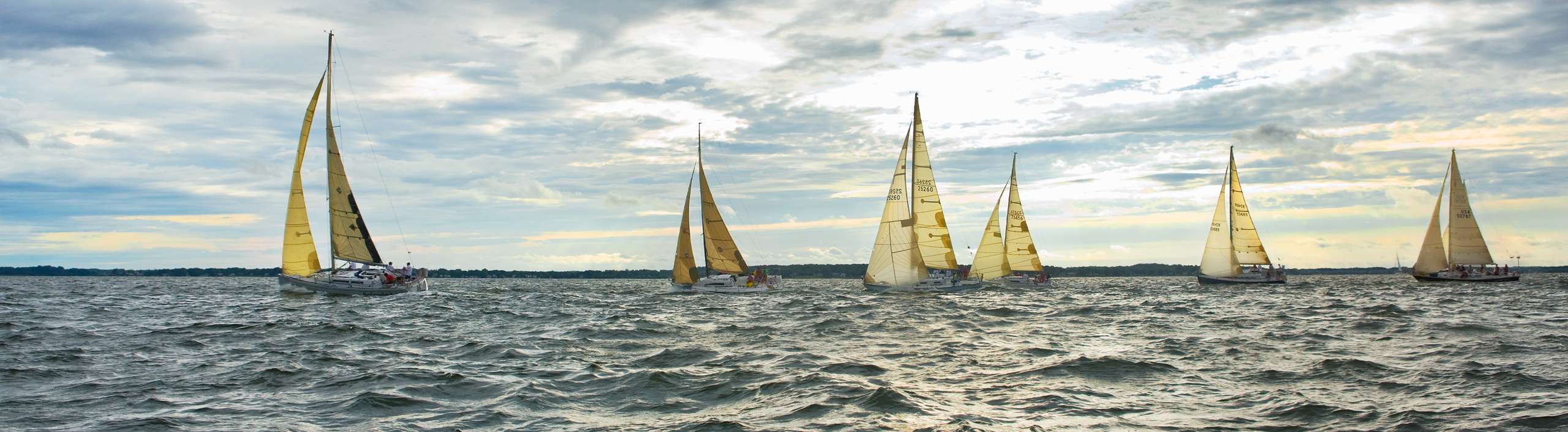 PORTFOLIO - Sailing - Chesapeake #24    PCG 427