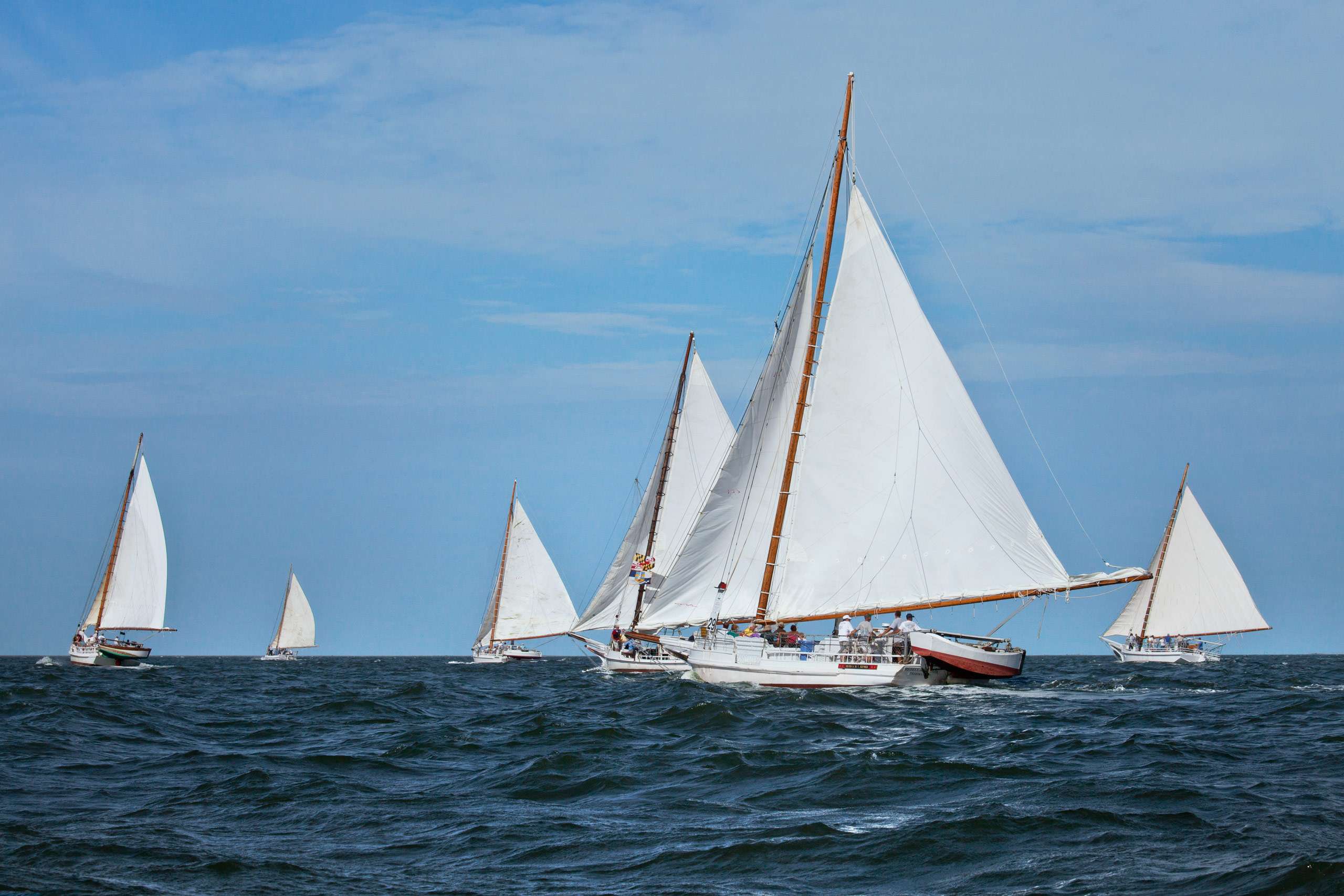 PORTFOLIO - Sailing - Skipjacks #9  PCG654