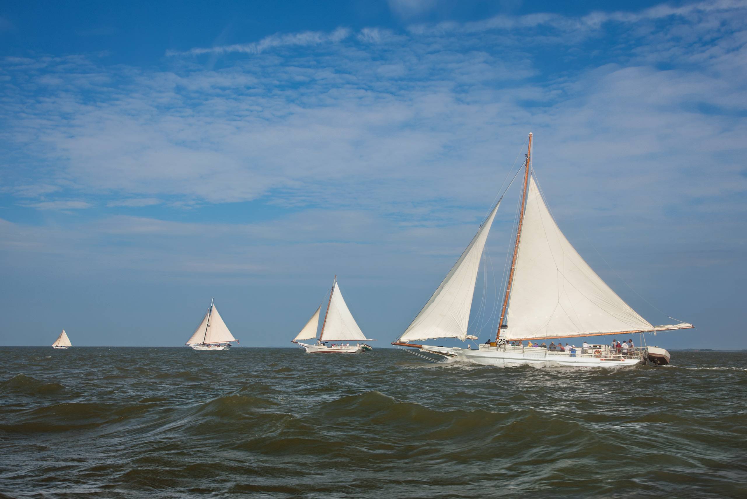 PORTFOLIO - Sailing - Chesapeake #17   PCG653