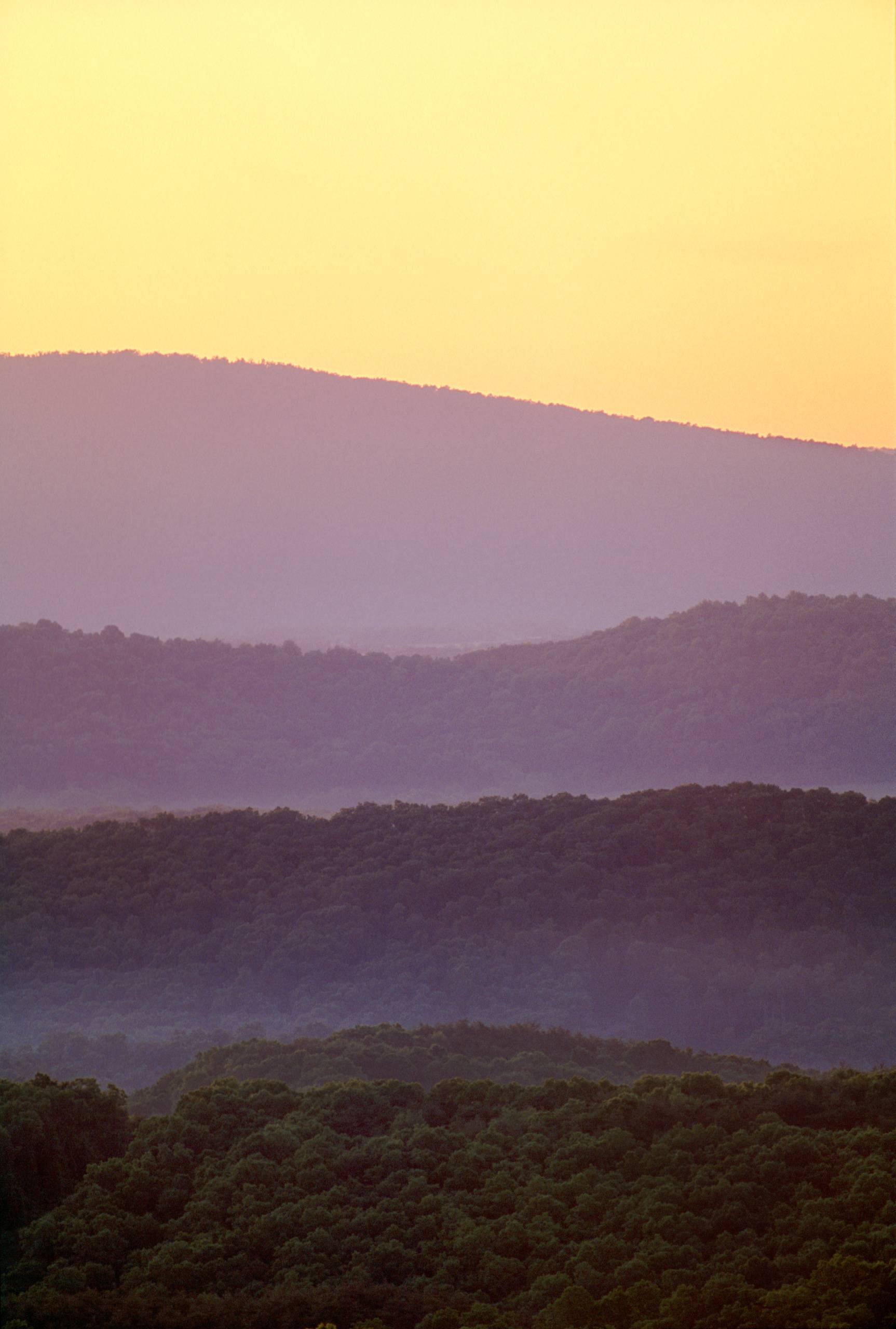 PORTFOLIO - Maryland  #35-PCG125_Allegyeny_Mountain_Sunrise.jpg