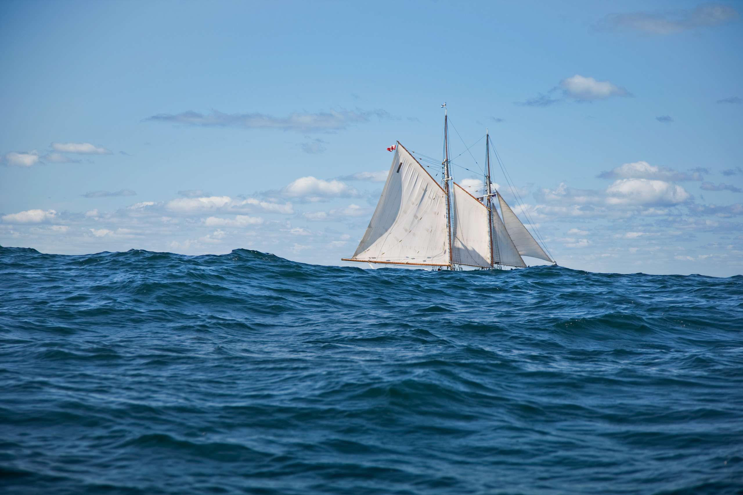 PORTFOLIO - Sailing - Windjammers #10   PCG463