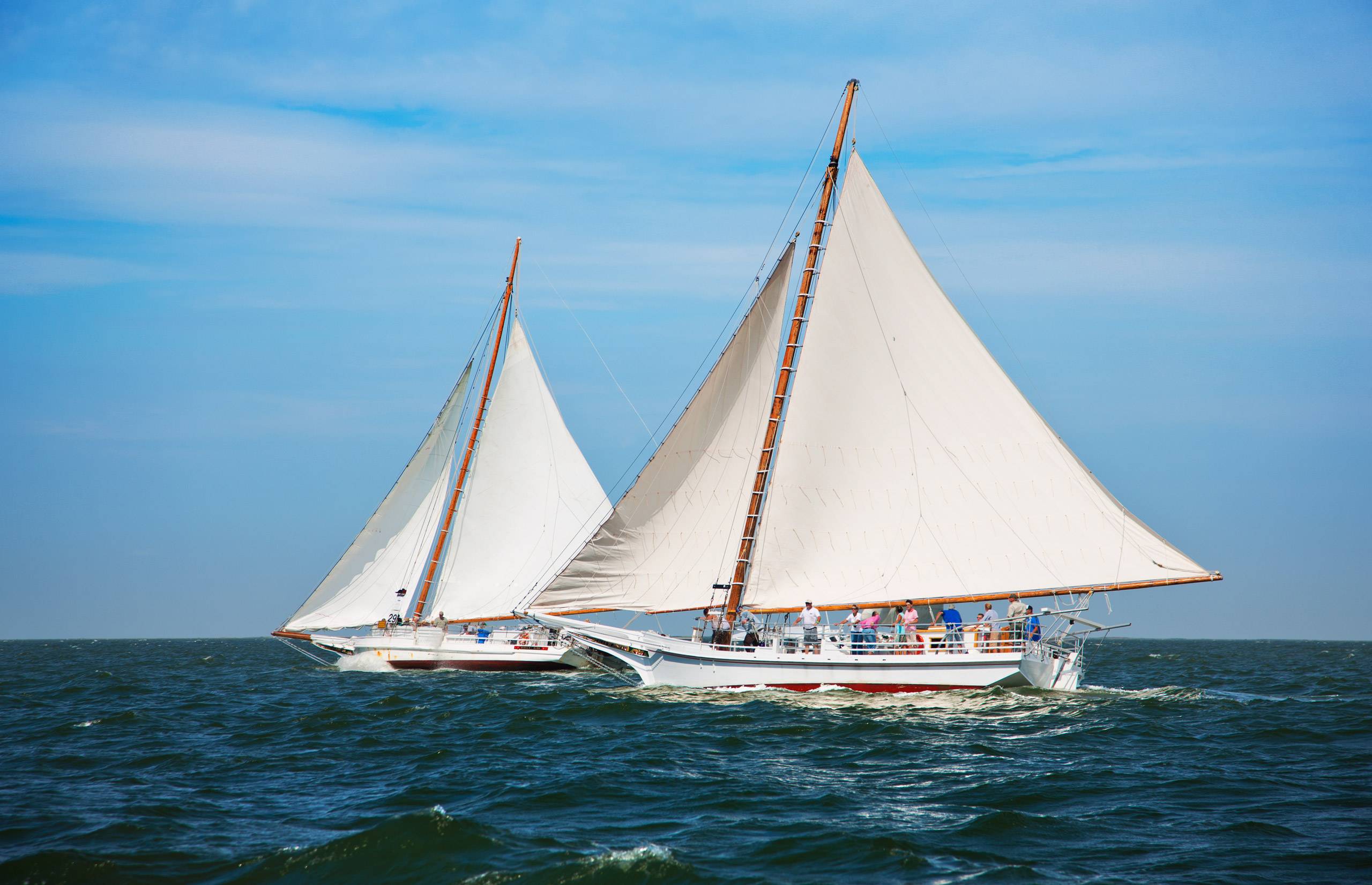 PORTFOLIO - Sailing - Skipjacks #17