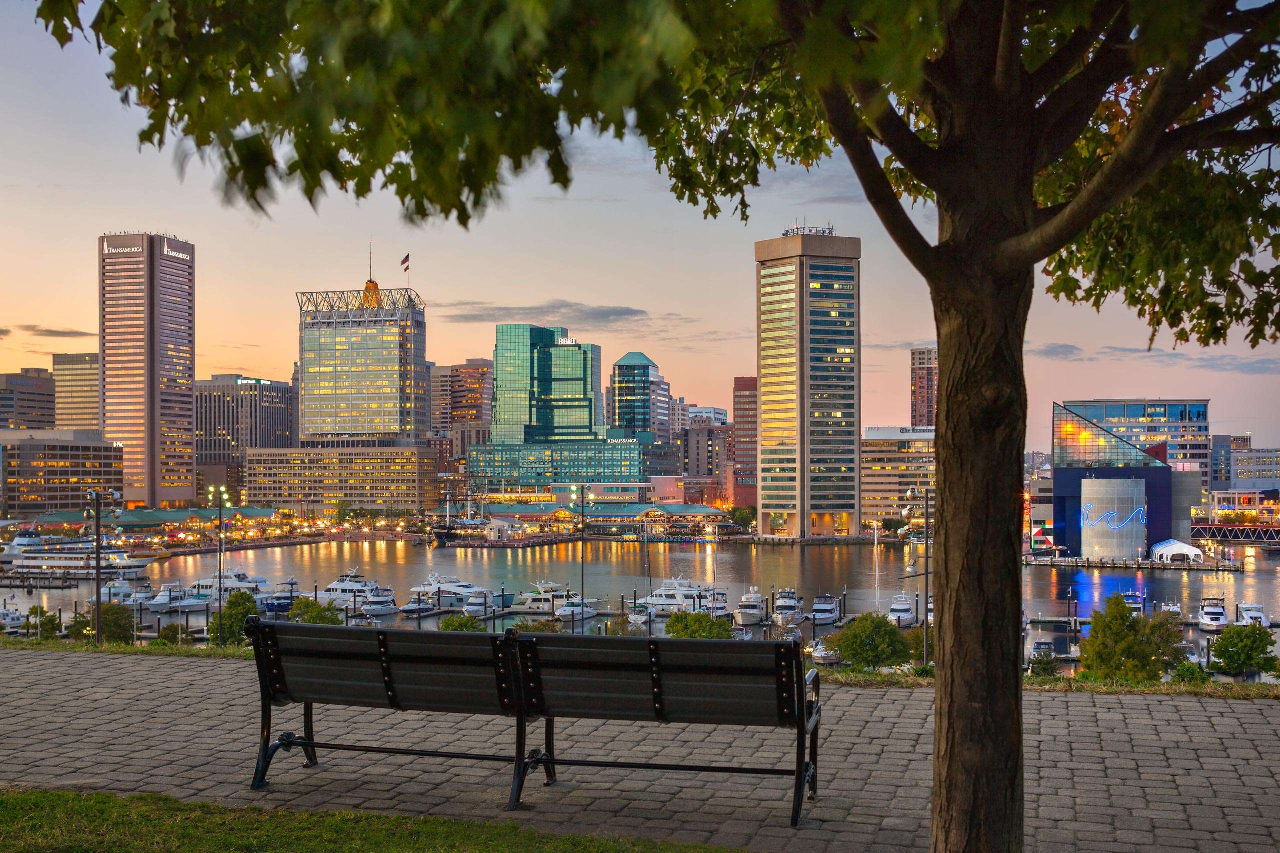 Federal Hill Park Benches and View of Downtown Baltimore