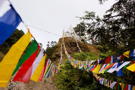 Bhutan_1797cc.jpg