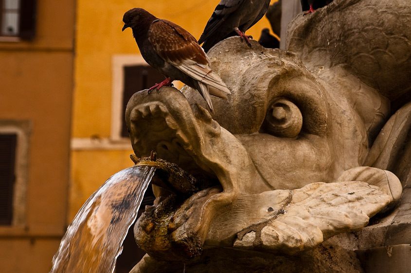 Rome, Italy serpent and bird