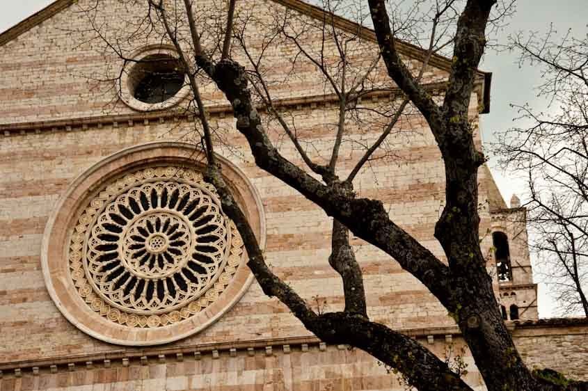 Tree and stone pattern