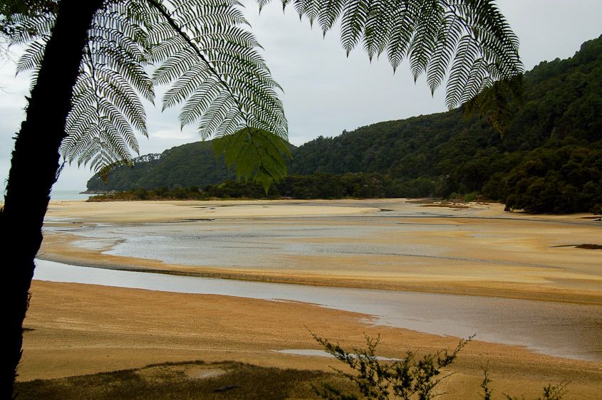 Tasman National Park