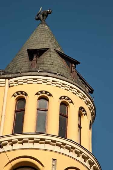 Riga, Latvia Cat on a cold shingle roof