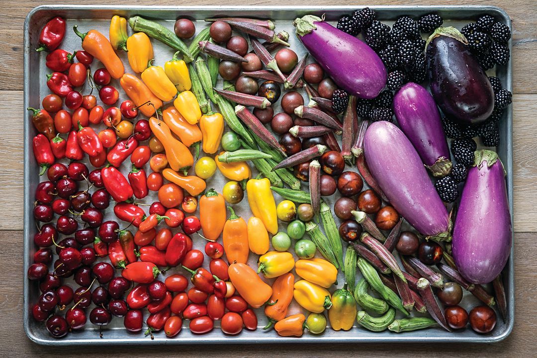 Jonathan Boncek_Cannon Green_produce_2017_wR_CMYK.jpg