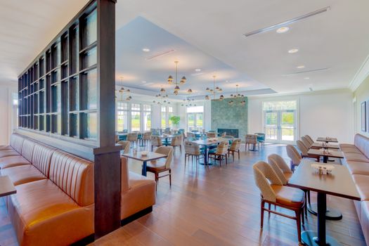 Visualopathy for Web 03.jpeg