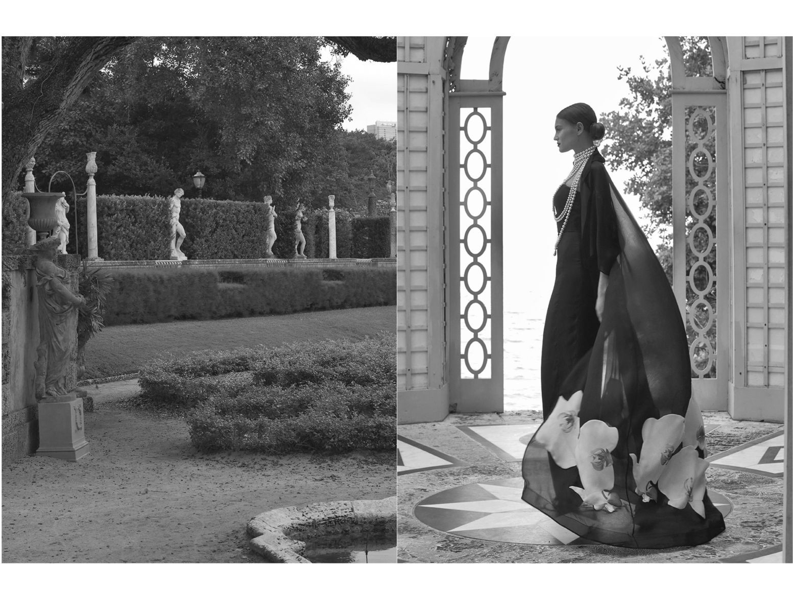 michael del buono shoots zang toi