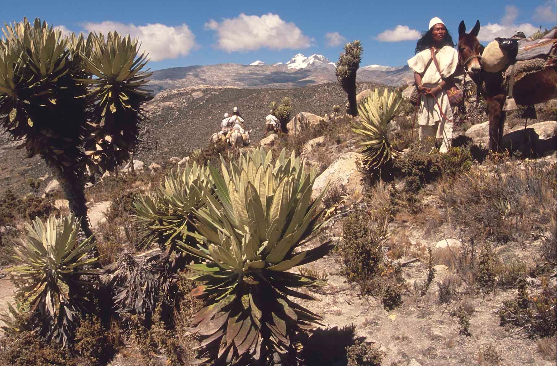 1r20100621_20100621_colombia_srranvda_08_0148