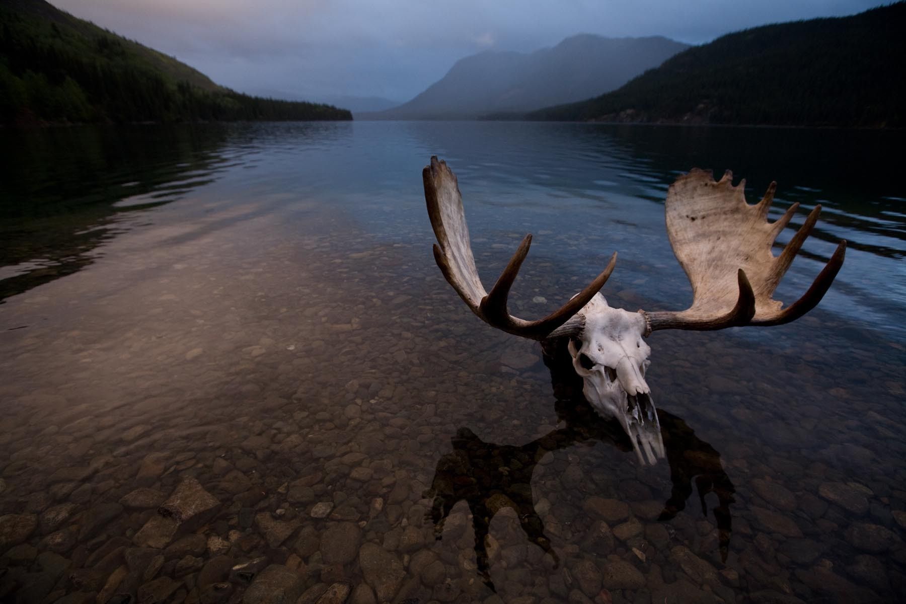 1r20100825_20100825_20100825_20100825_img_0685