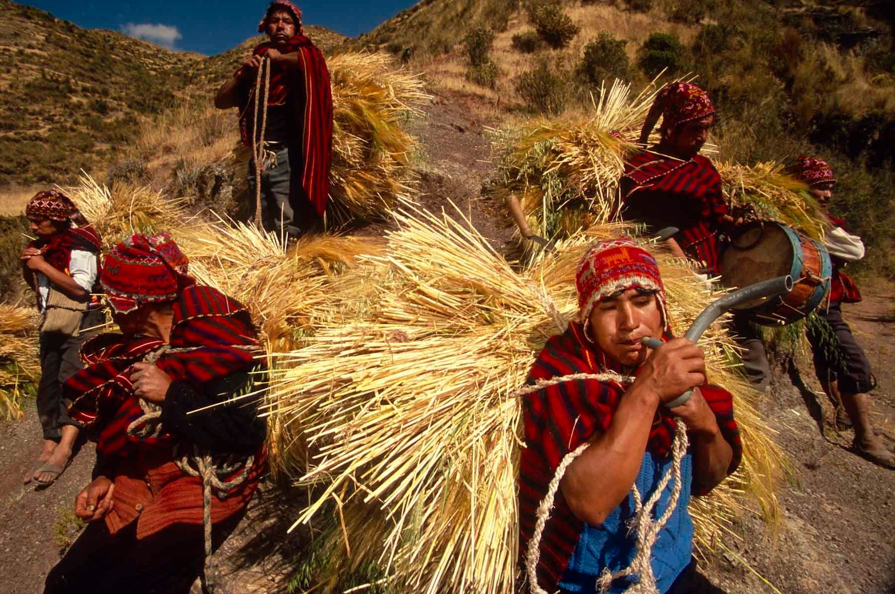 1r20100609_20100609_peru_chinchero_05_0048