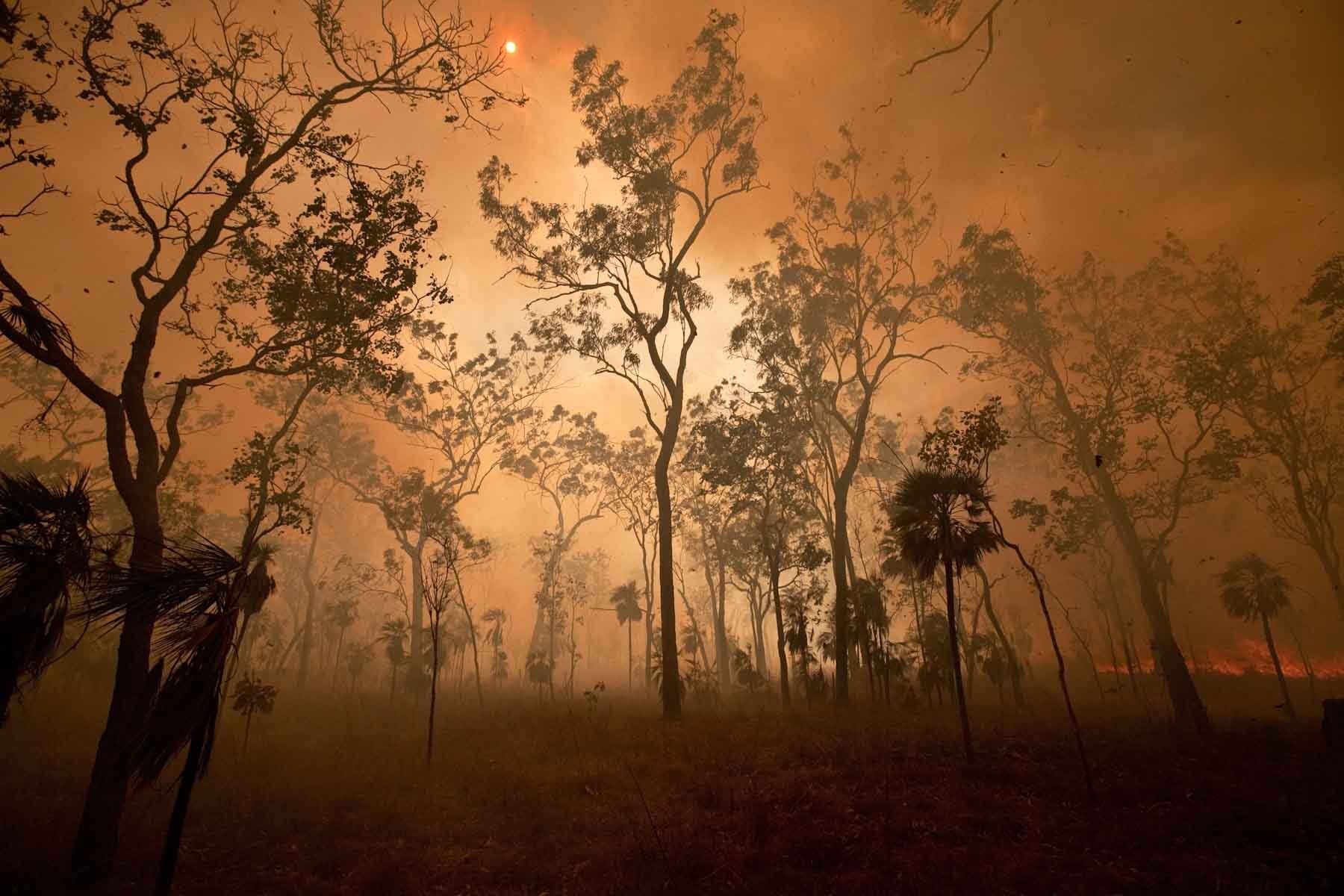 1r20080829_australia_3102