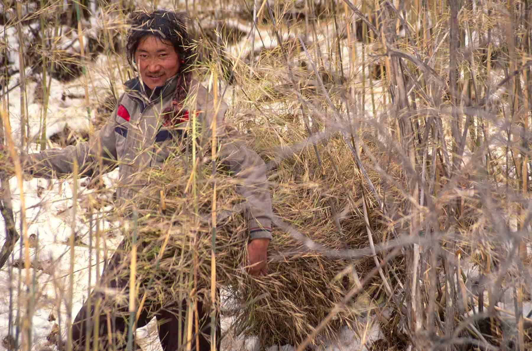 1r20100616_20100616_tibet_kv_leow_97_0062