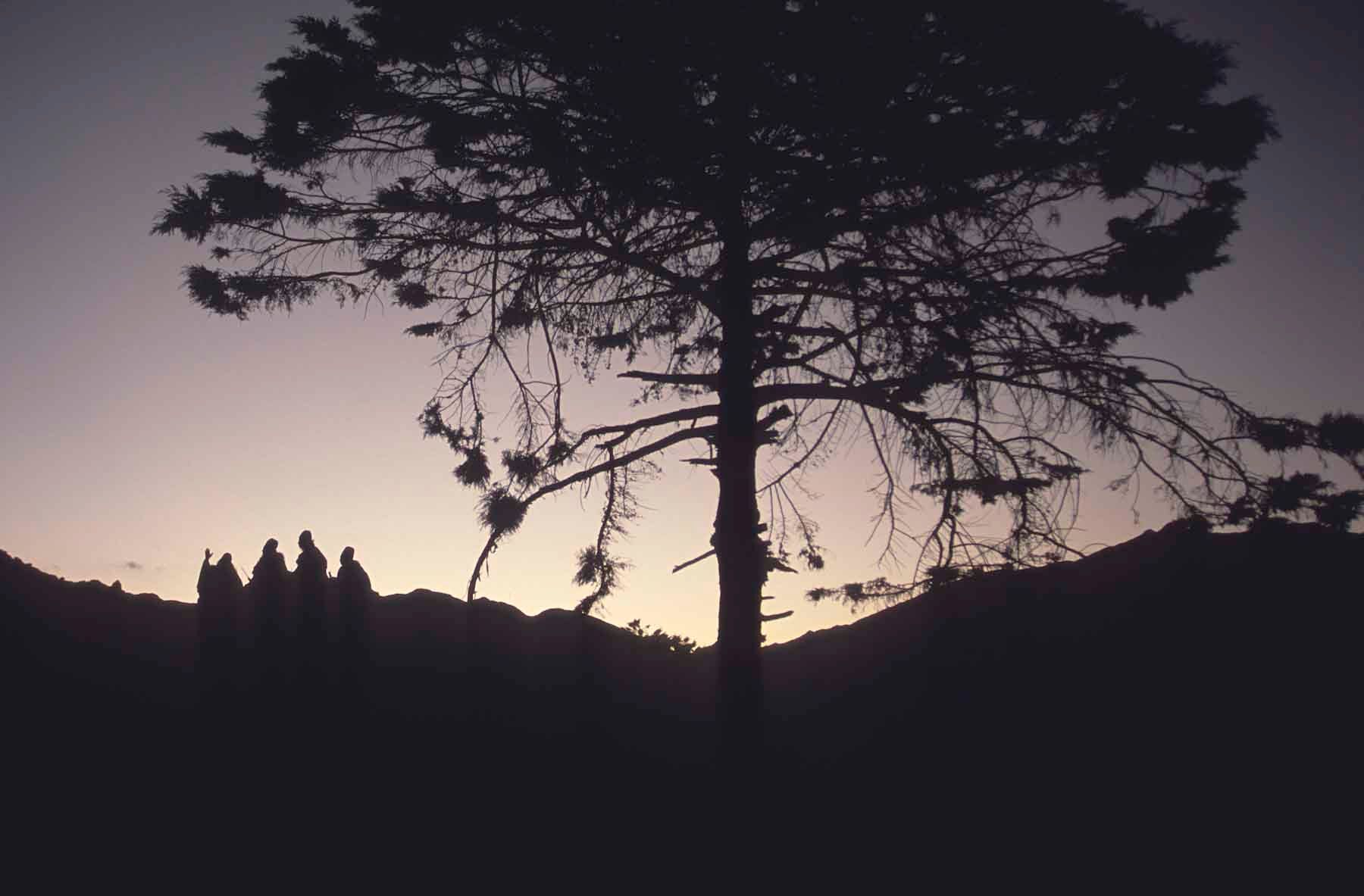 1r20100621_20100621_colombia_srranvda_08_0175