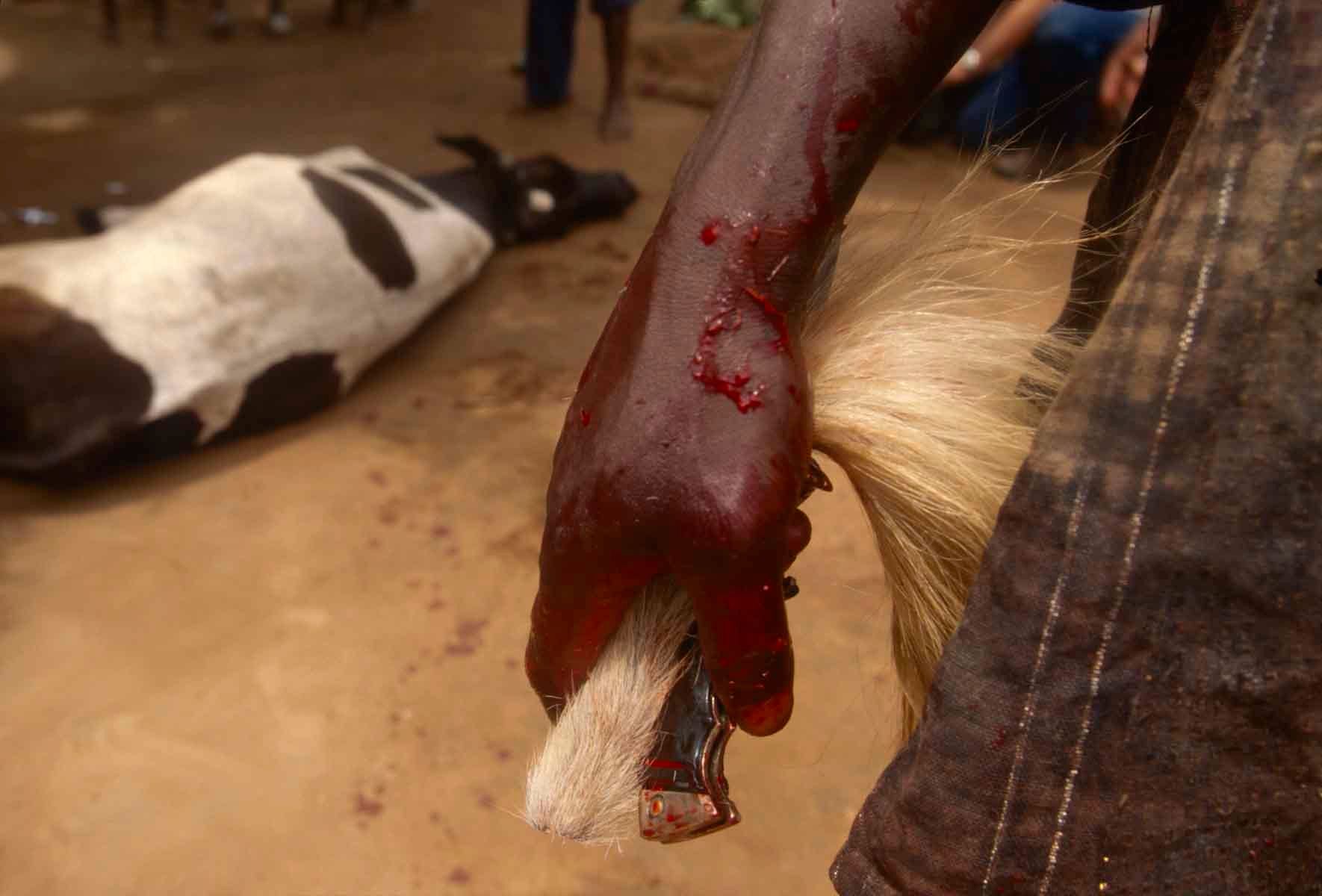 1r20100609_20100609_to_be_goroinlome_0039