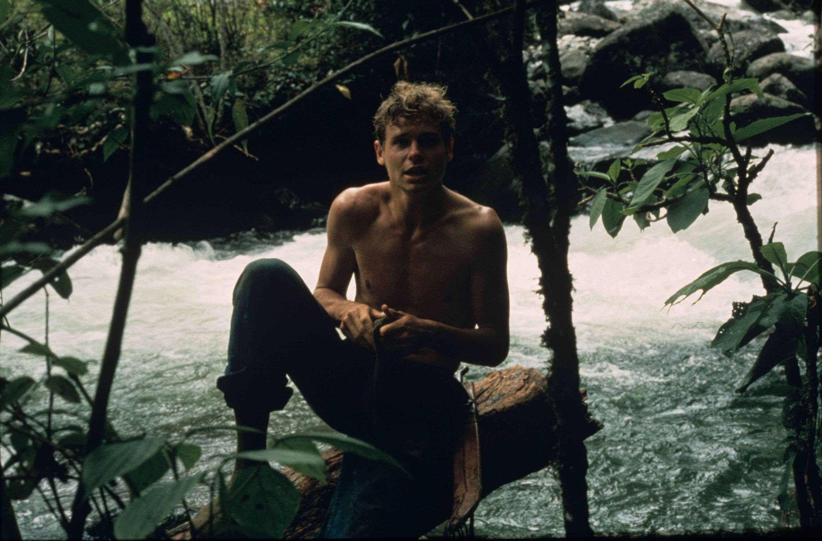 1gryphon_scans__wade_stream_copy