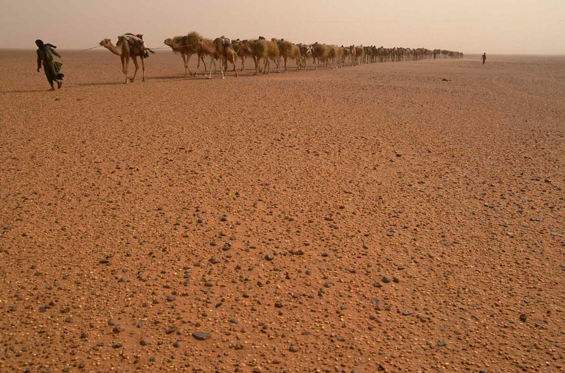 1r20100607_20100607_mali_sahara_0753