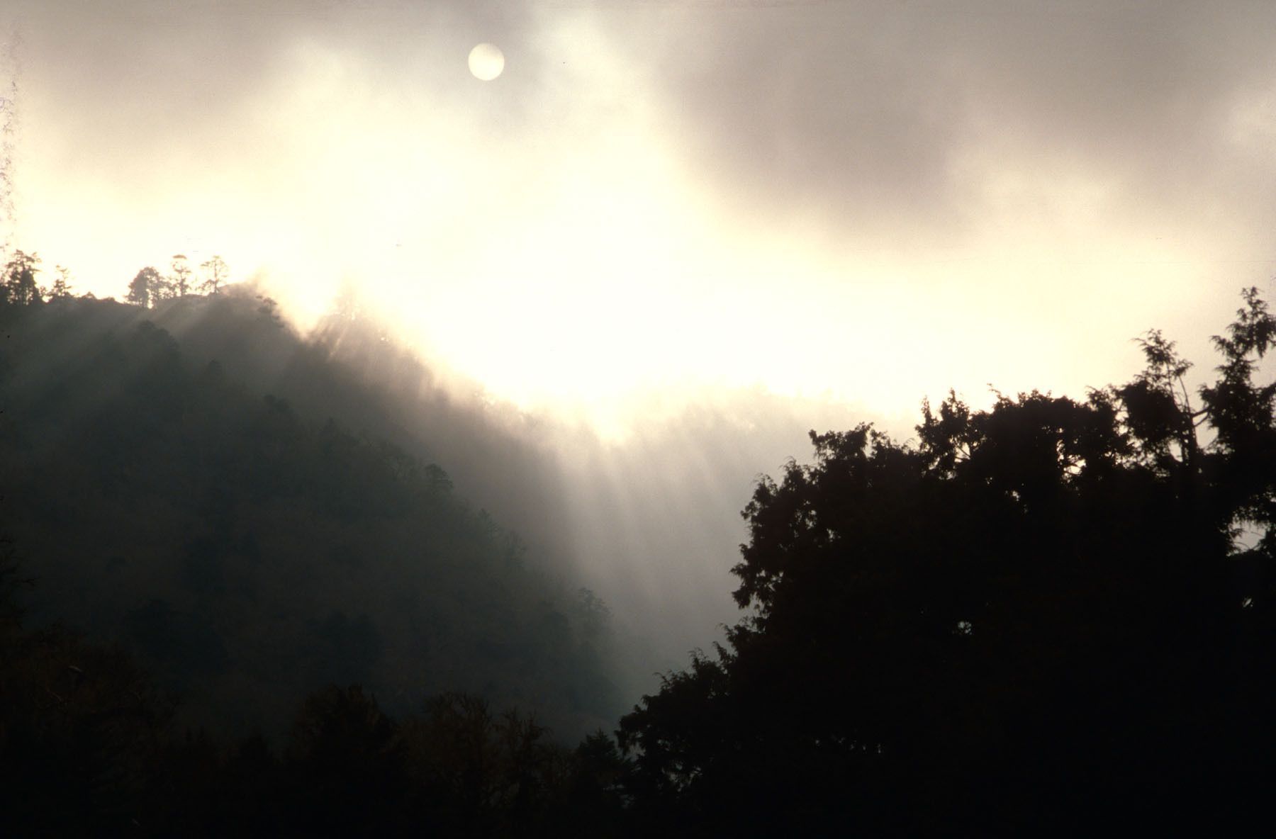 1r20100615_20100615_nepal_tengboche_0004