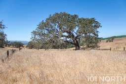 Ranch-Farm 05-29.jpg