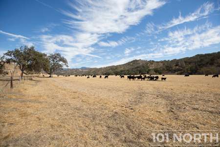 Ranch-Farm 01-69.jpg