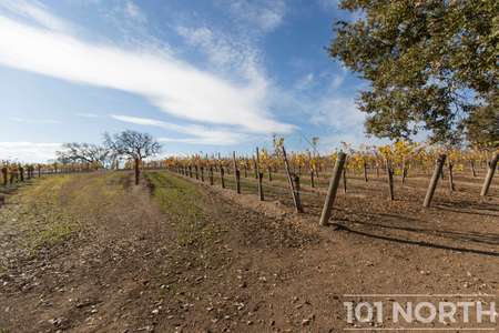 Winery 13-9.jpg