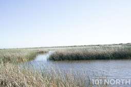 Ranch Farm 38 (150 of 222).jpg