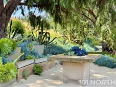 Garden 07-25.jpg