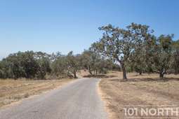 Ranch-Farm 06-23.jpg