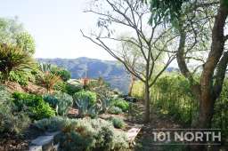 Architectural 15 -10.jpg