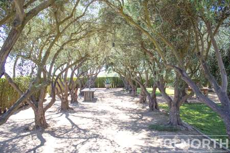 Ranch-Farm 06-61.jpg