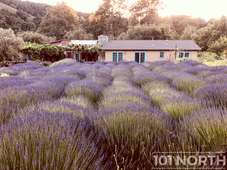 Ranch-Farm 20-190.jpg