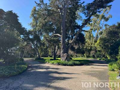 Traditional 16-126.jpg