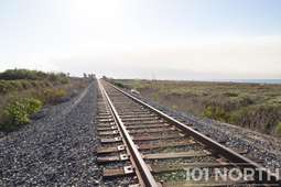 Beach 21 (103 of 32).jpg