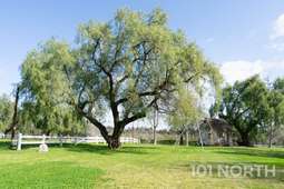 Ranch Farm 07-106.jpg