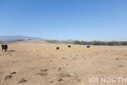 Ranch-Farm 28-20.jpg