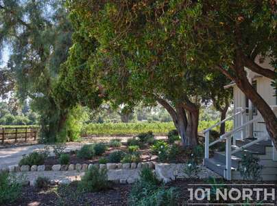 Traditional 02-73.jpg