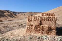 Ranch-Farm 10-166.jpg