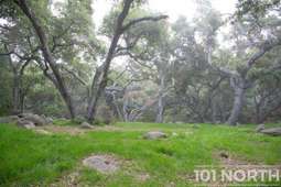 Recreational 09-4.jpg