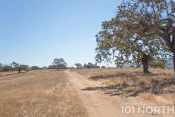 Ranch-Farm 05-17.jpg