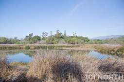 Recreational 08-11.jpg