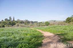 Recreational 08-13.jpg